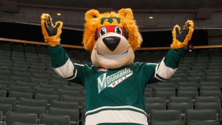 Nordy Nordy, mascotte du Wild du Minnesota