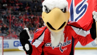 Slapshot Slapshot, mascotte des Capitals