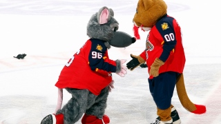 Stanley C. Panther et Viktor E. Rat Stanley C. Panther et Viktor E. Rat, mascotte des Panthers de la Floride