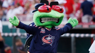 Stinger Stinger, mascotte des Blue Jackets