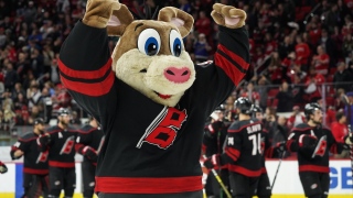 Stormy Stormy, mascotte des Hurricanes