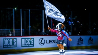 Bernie Bernie, mascotte de l'Avalanche du Colorado