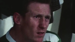 mcneill.jpg