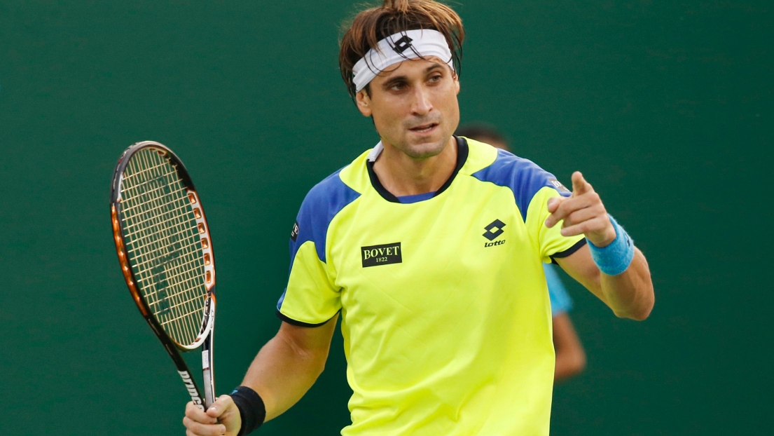 David Ferrer