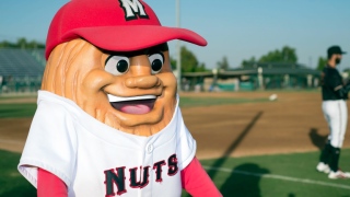 Al the Almond Al the Almond, Modesto Nuts (Niveau A, Mariners de Seattle)