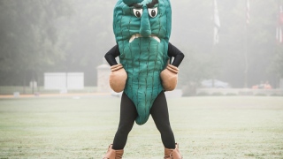 fighting okra Fighting okra (Delta State, NCAA)