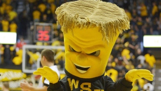 WuShock WuShock mascotte de NCAA