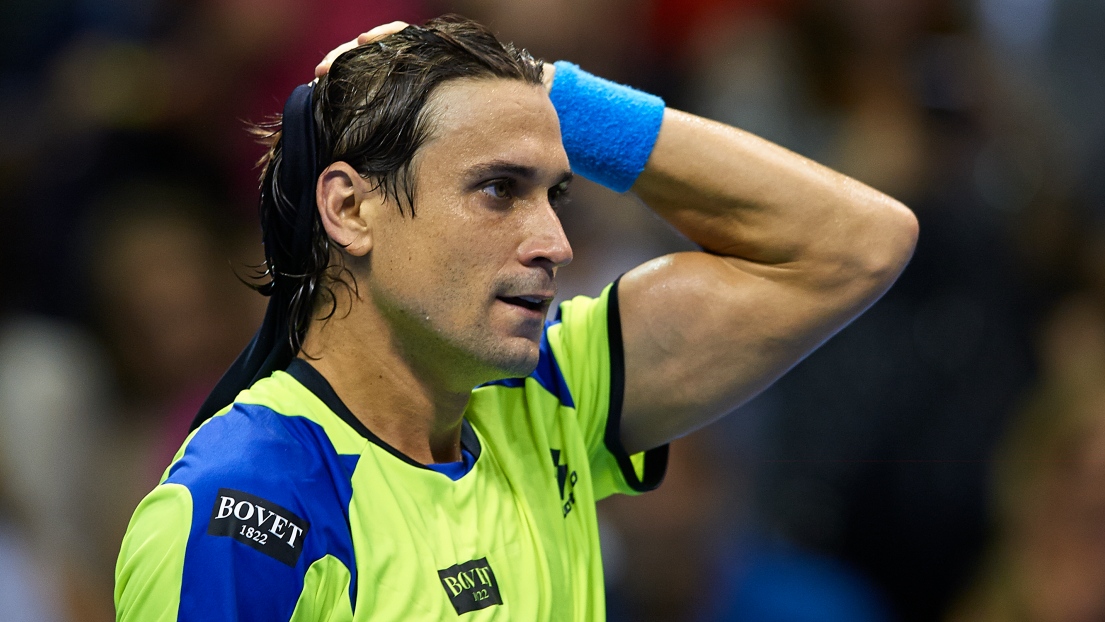 David Ferrer