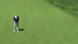 woods.jpg