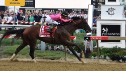 Preakness.jpg