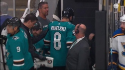 sharks.jpg