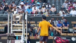 Shapo.jpg
