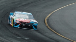 Busch4.jpg