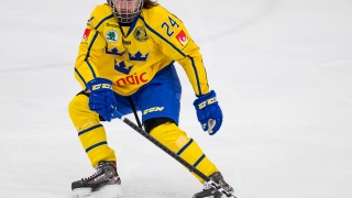 Albin Grewe Albin Grewe