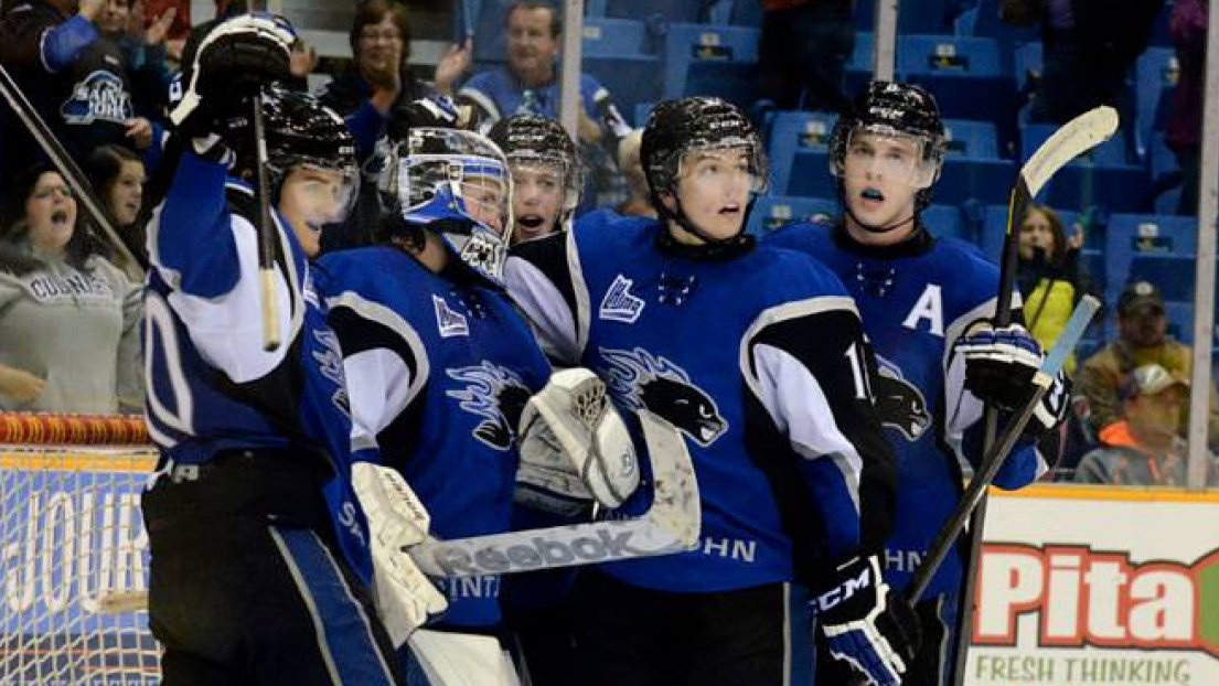 Sea Dogs de Saint John