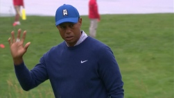 Woods41.jpg