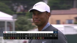 Woods43.jpg