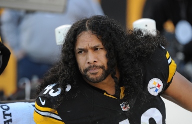Polamalu et Wayne en lice pour le Temple