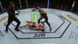 ufc1.jpg