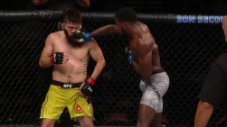 ufc3.jpg