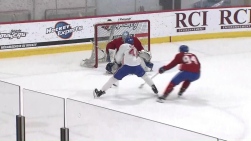 marleau.jpg
