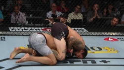 ufc3.jpg