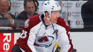 Milan Hejduk