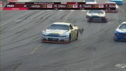 tagliani.jpg