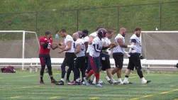 ALOUETTES.jpg