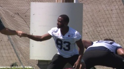 Taylor5.jpg