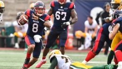 alouettes.jpg
