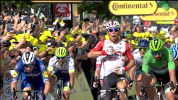 tdf.jpg