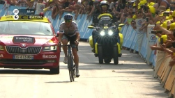 TDF.jpg
