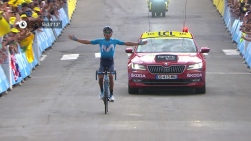 TDF.jpg