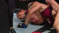 ufc4.jpg