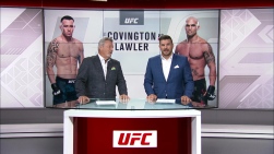 ufcanalyse.jpg