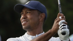 Woods44.jpg