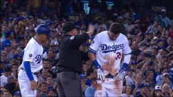 Bellinger10.jpg