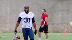 STANBACK.jpg