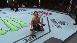 ufc1.jpg
