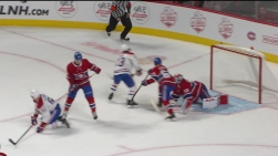 domi.jpg