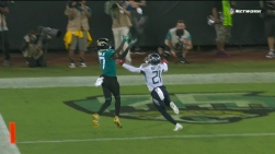 Jags.jpg