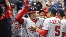 Nats35.jpg