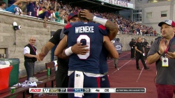 Wieneke3.jpg