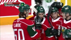 moose.jpg