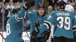 SharksVO.jpg