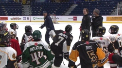 lhjmq.jpg