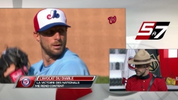 expos.jpg