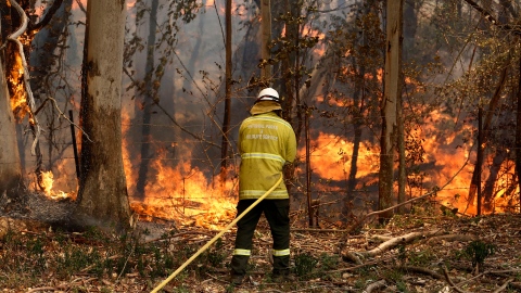 Incendies : le Rallye d'Australie est annulé