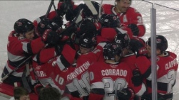 SENATORS.jpg